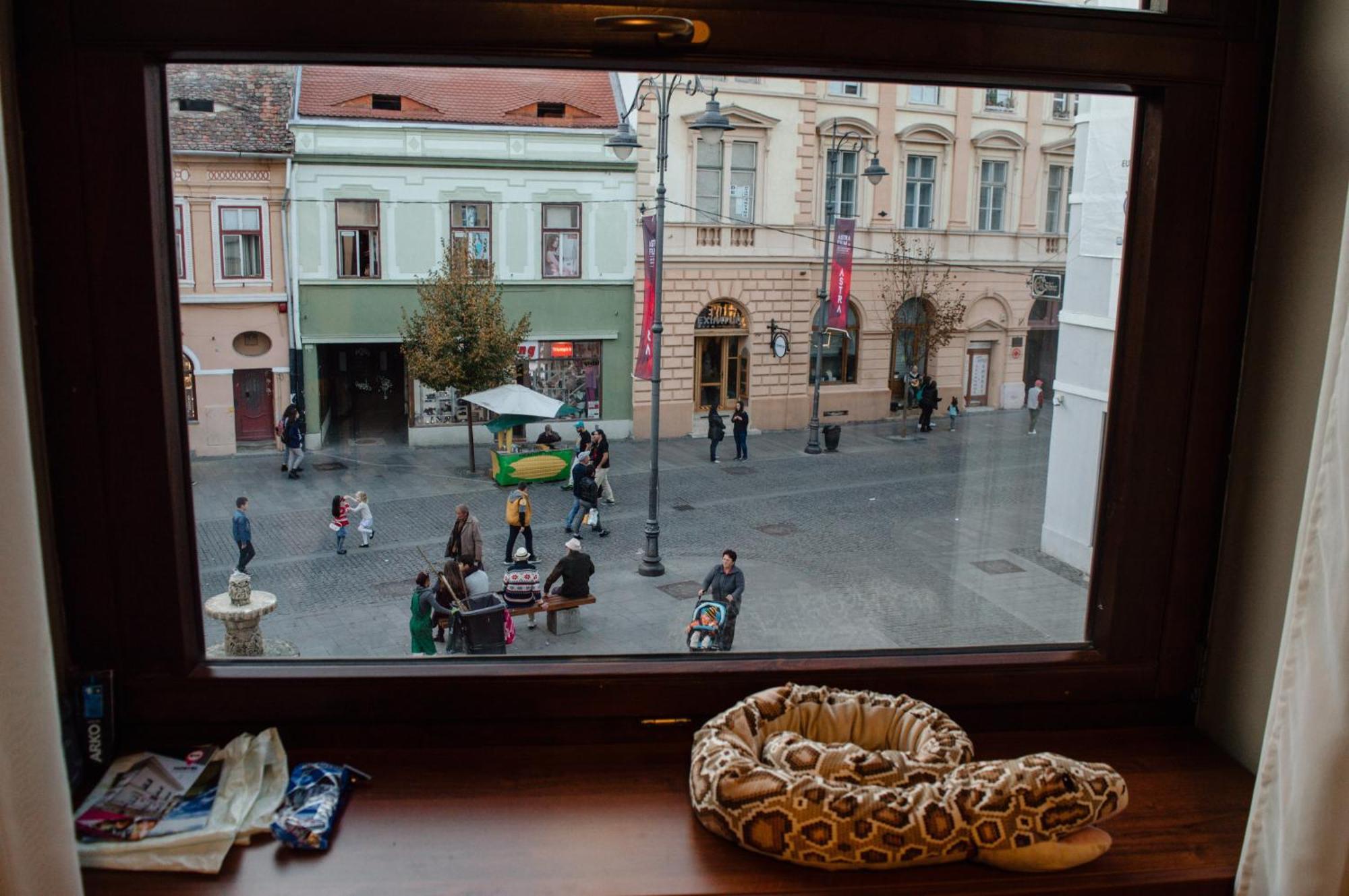 B13 Hostel Sibiu Dış mekan fotoğraf